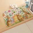 thumbnail image 4 of TIELUTT Easter Bunny Carpet Kitchen Floor 40*60cm Comfort Blanket Carpet Scraps 9x10 Area Rugs for Living Room Area Rug for Bedroom Living Room Blankets Fall, 4 of 8