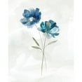 thumbnail image 3 of Robinson, Carol 20x24 Black Modern Framed Museum Art Print Titled - Blue Botanical II, 3 of 5