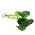 thumbnail image 3 of Kuymtek Césped Artificial Acuario Tanque Peces Simulación Acuática Planta Adorno, 3 of 3