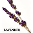 thumbnail image 3 of Loción corporal Victoria's Secret PINK Lavender 355ml, 3 of 6