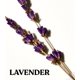 thumbnail image 3 of Loción corporal Victoria's Secret PINK Lavender 355ml, 3 of 6