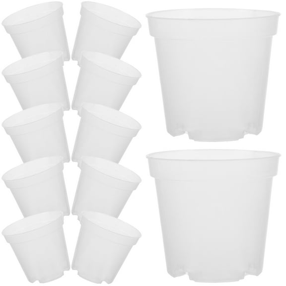 WRISTBIQUE 30Pcs Clear Cactus Pots Round Shape For Plant Growth Observation And Replanting