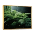 thumbnail image 2 of Designart "A Close Up Photo of Ferns II" Floral Floater Framed Canvas Art Print, 2 of 7