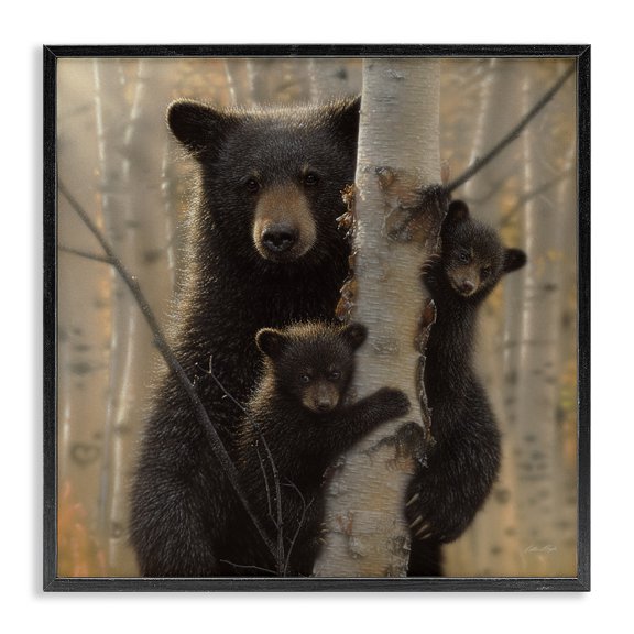 Stupell Industries Farmhouse Forest Black Bear and Cubs Black Framed Giclee Art, 12 x 12, by Collin Bogle