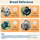 thumbnail image 3 of Bozal sin corteza para bulldogs franceses de hocico corto Boston, 3 of 7