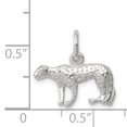 thumbnail image 2 of 925 Sterling Silver Leopard Charm and Pendant, 2 of 2