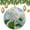 pattern-1792, variant on Christmas Ornaments White Hydrangea Oil Painting Keepsake Gift Watercolor Floral Spring Summer Ornament Holiday Decor for Xmas Tree