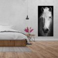 thumbnail image 2 of Cheval Monochrome - Toile 24"x48 Pouces - Impression à la Demande, 2 of 5