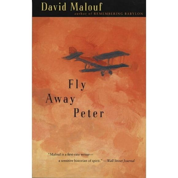 Vintage International: Fly Away Peter (Paperback)