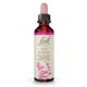 thumbnail image 1 of Remedios florales originales de Bach, esencia floral, olmo, 20 ml, 1 of 6