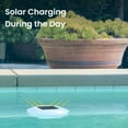 thumbnail image 5 of Techko Outdoor Solar Floating Pool Lights – White Light (2 Pack), 5 of 11