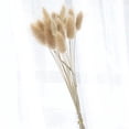 thumbnail image 4 of CAROOTU Fleurs Séchées Colorées Bouquet Éternel Fleurs Réelles pour Décoration Intérieure, 4 of 6