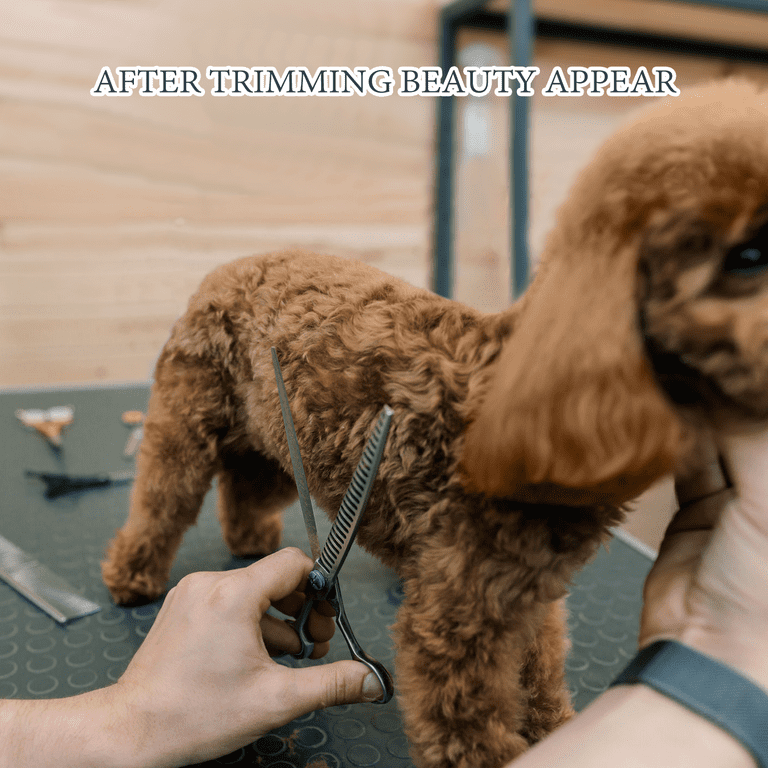 GPED 6 in 1 Dog Grooming Scissors Kit, Professional Shears photo 3