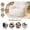 White1, variant on Baxluxe Velvet Modular Folding Couch,Flip Open Convertible Lounge Sofa Chair,Fold Out Sleeper Sofa for Apartment,Bedroom and Living Room