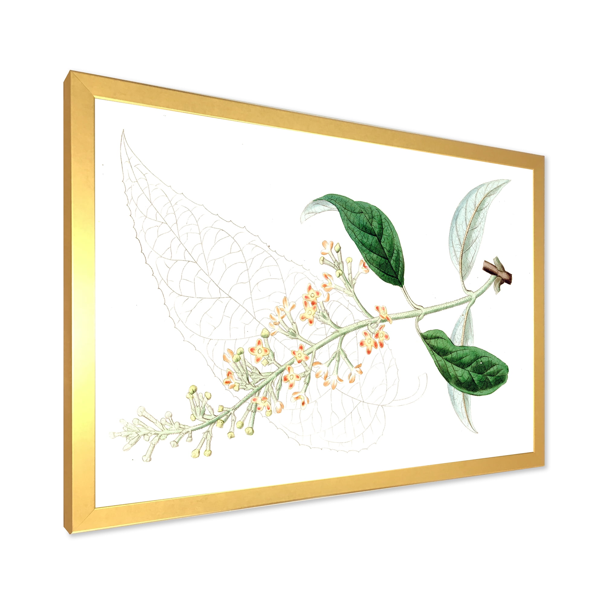 Designart 'Ancient Plant Life XXVII' Traditional Framed Art Print