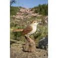 thumbnail image 6 of Hi-Line Gifts 6.25" Motion Activated Singing Nightingale Standing on Stump Outdoor Garden Statue, 6 of 8