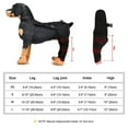 thumbnail image 2 of Adjustable Black XS Dog Hind Leg Brace - SBR Material Pet Knee Support Wrap for Arthritis Recovery, Injury Protection & Wound Licking Prevention - Comfortable Joint Guard with Shockproof & Heat, 2 of 6