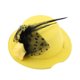 thumbnail image 3 of Sombreros para perros y gatos a la moda, gorros de plumas estilo Príncipe bonitos para accesorios para sombreros de mascotas (amarillo), 3 of 8
