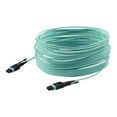 thumbnail image 3 of StarTech 10m 30 ft MPO / MTP Fiber Optic Cable - Plenum-Rated MTP to MTP Cable - OM3, 3 of 6