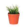 thumbnail image 1 of Simulación de artesanía Aloe Potted Scene Modelo Faux Greenery Artificial Succulent, 1 of 2