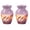 Keepsake Pack of 2, variant on Dolphin Urns for Human Ashes Adult Man, Burial Cremation Urns for Humans, Mini Urn for Ashes for Women, Small Urn for Ashes Keepsake (Size - 3inch, 2 Pcs)