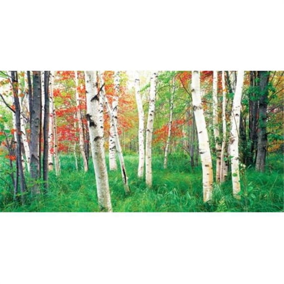 Biggies WM-AGV-54 Wall Murals - Aspen Grove - Medium