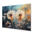 thumbnail image 2 of Designart "Morning Moments with Dandelions II" Floral Metal Wall Decor, 2 of 5