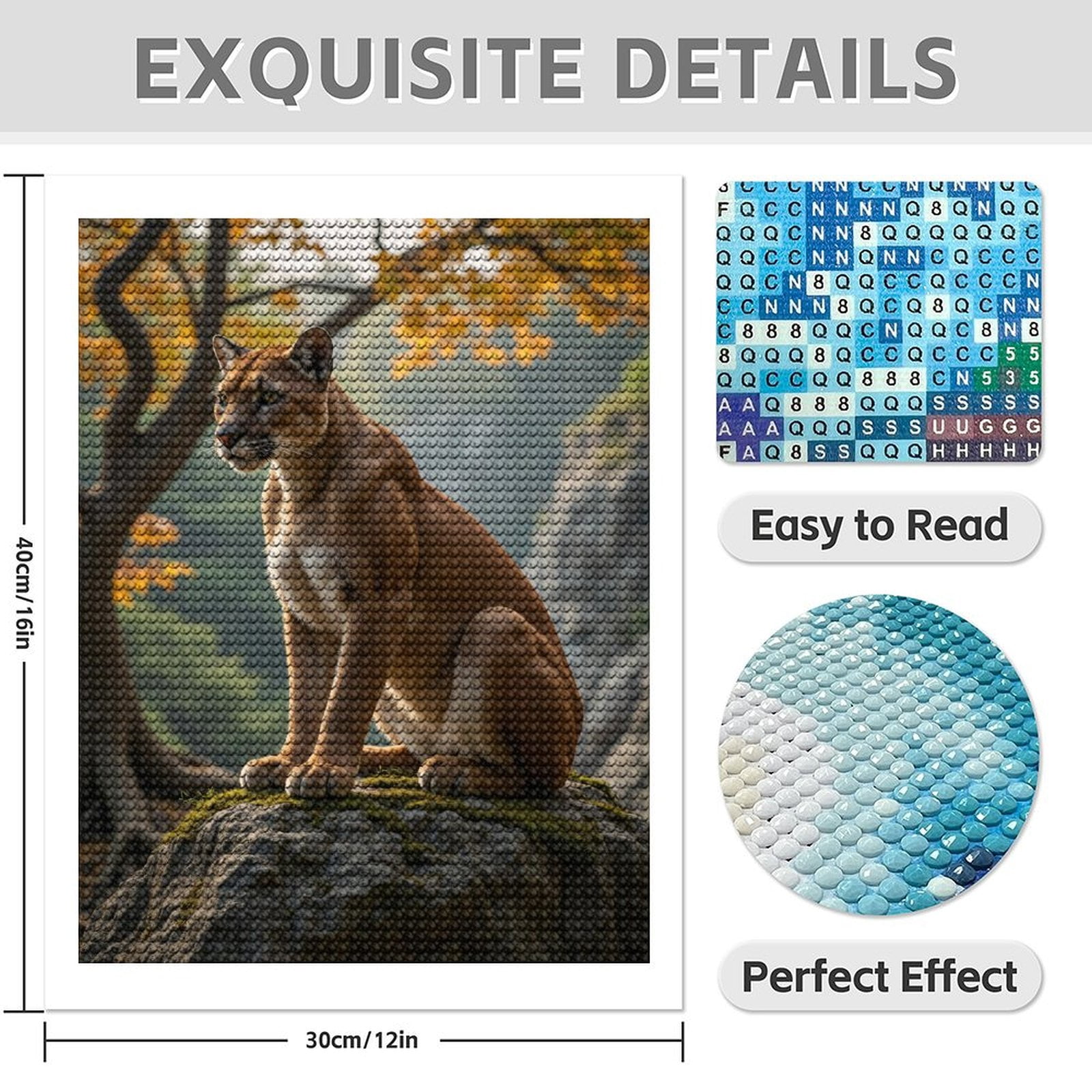 Diamond Art Kit for Adults, Elegant Cougar Autumn Rock Vista Diamond Painting for Adults Beginners, DIY Diamond Art Painting Kits, 5D Diamond Painting Crafts for Home Decor 12x16 Frameless