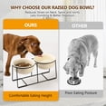 thumbnail image 6 of Elevated Large Dog Bowl Set - Raised Dog Food and Water Bowl with Non Slip Stand - Heavy Weighted Double Ceramic Dog Feeding Bowls - Extra Wide Deep Pet Dishes for Medium to Big Dogs - 2 x 1600 ML, 6 of 6