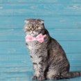 thumbnail image 3 of 1pc/2pcs Adjustable Cat Collar With Bells Safe Release Buckle Plaid Flower Pattern Pet Neck Accessories (1.0 x 28CM), 3 of 8