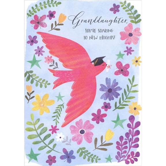 Designer Greetings You're Soaring to New Heights: Pink Bird with Diploma Graduation Congratulations Card for Granddaughter