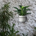 thumbnail image 4 of unbranded 2Ud Soportes De Metal Negros Para Macetas Montados En Pared Con Resistente Y Fácil Instalación, 4 of 8