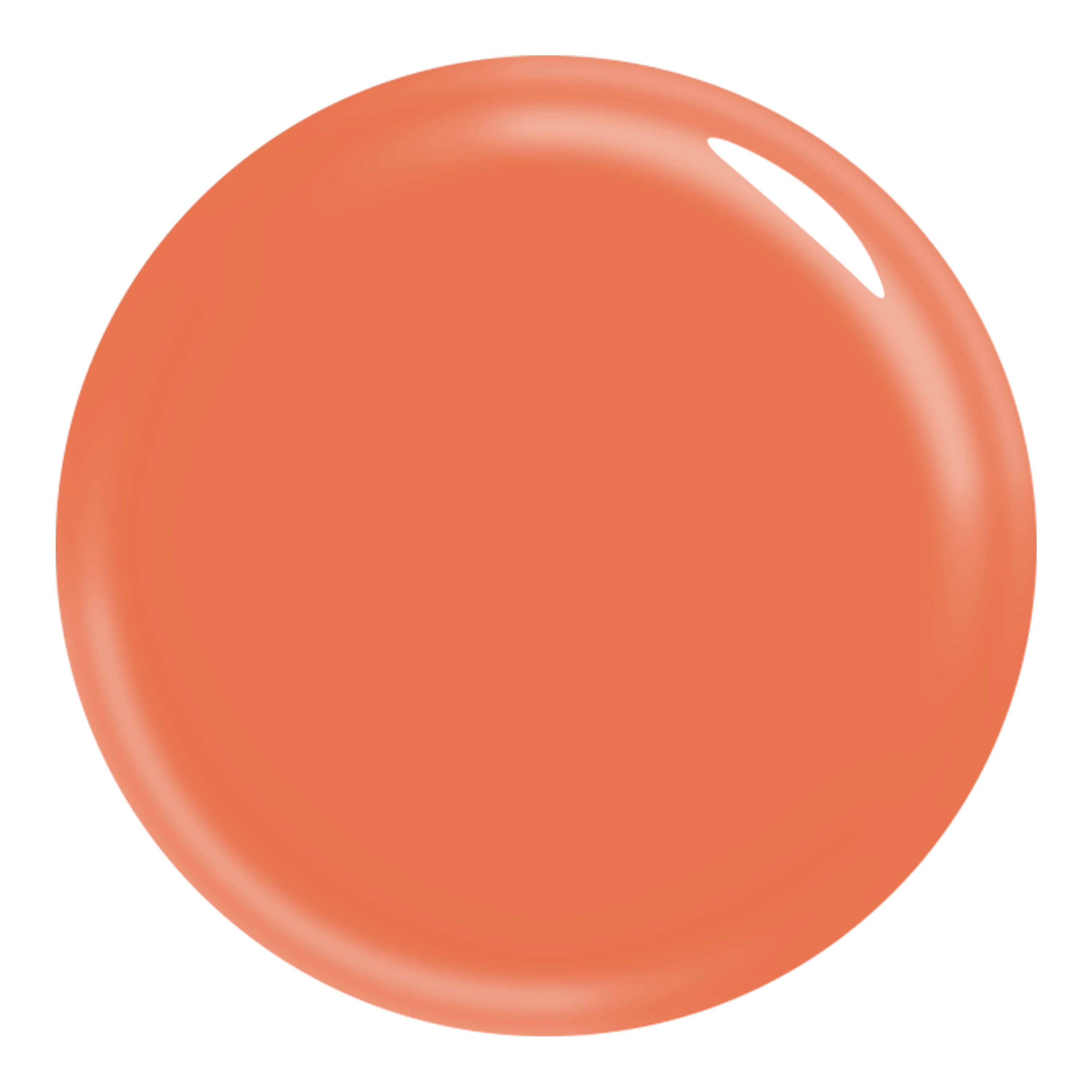 L.A. COLORS Color Craze Nail Polish, Melancholy, 0.44 fl oz