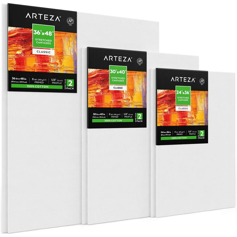 Arteza Stretched Canvas, Premium, White, 12x12, Blank Canvas Boards for  Painting - 8 Pack