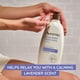thumbnail image 2 of Loción corporal Aveeno Stress Relief Hidratante 975 ml para piel seca, 2 of 8
