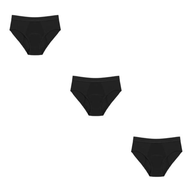 Minnieouse Ropa interior para el período Menstrual para mujer, ropa interior absorbente de agua para mujer, a prueba de fugas, 4 capas, bragas Type1 NO1