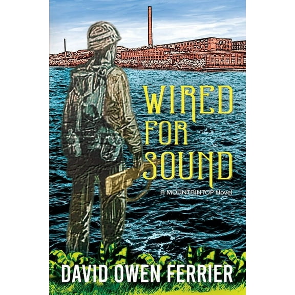 Wired For Sound (Paperback)