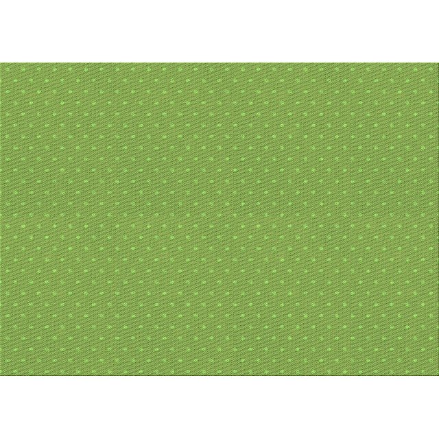 Ahgly Company Tapis d'Intérieur Lavables en Machine, Rectangle, Espace Vert Transitionnel, 2' x 4'