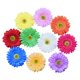 thumbnail image 4 of unbranded 10Ud Pinzas Para Con Decorativas Resistentes Para Uso En Playa Y Eventos, 4 of 8