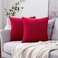 thumbnail image 1 of Juego de 2 Fundas de Cojín de Terciopelo Fundas de Almohada Decorativas para Sofá Decoración Súper Suave Hogar Sala de Estar Dormitorio para Sofá 45X45CM Rojo, Funda de Almohada para Sofá de Franela N, 1 of 4