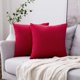 thumbnail image 1 of Juego de 2 Fundas de Cojines de Terciopelo Almohada Decorativa para Sofá Súper Suave Decoración Cómoda Hogar Sala de Estar Dormitorio para Sofá 60X60CM Rojo, 1 of 4