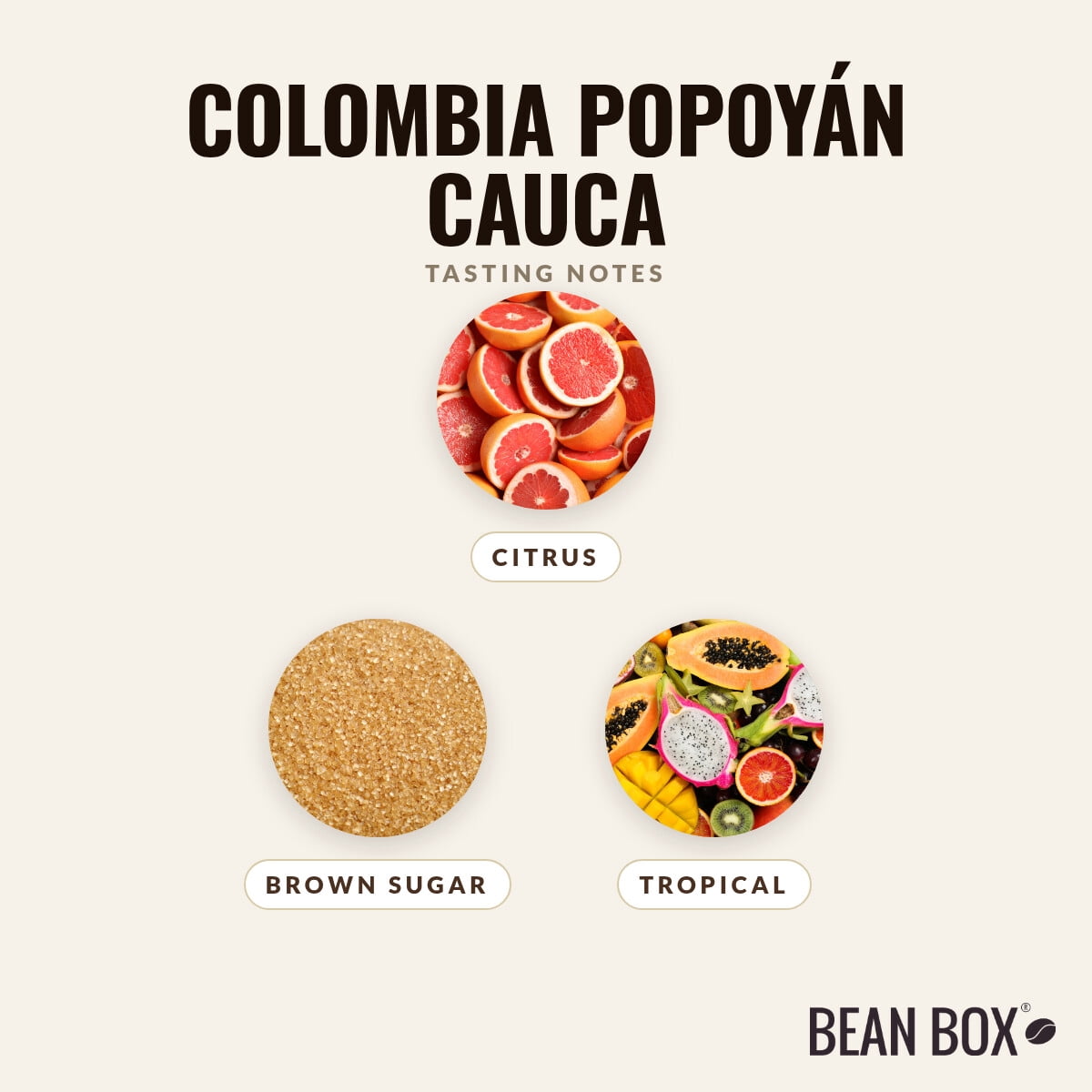 Colombia Popoyán Cauca - Roasted by Klatch Coffee - Whole Bean Coffee - 310g Bag