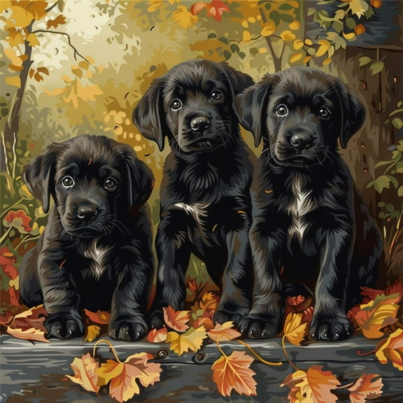 Paint by Numbers Kit for Adults - Three cute dogs in black boots (5) - Beginner DIY Color by Number Set on Canvas Acrylic Oil Paintings Crafts, Gifts, Home Wall Decor (12 X 16 inches) -