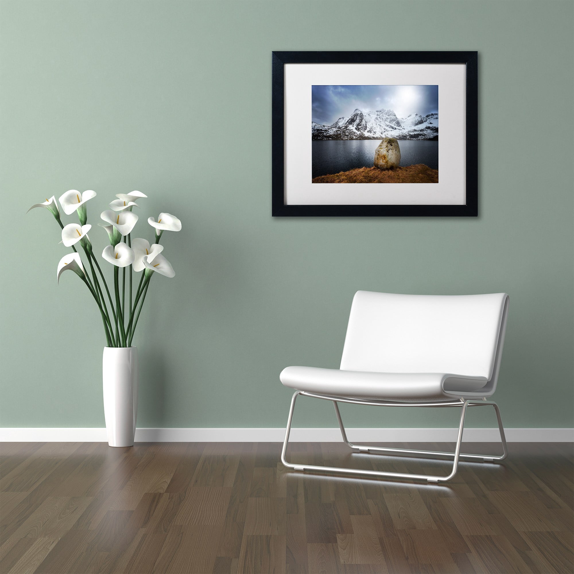 Trademark Fine Art "Spaceways Theme" Canvas Art by Philippe Sainte-Laudy, White Matte, Black Frame