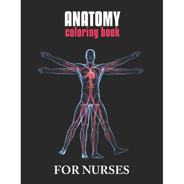 best way to learn anatomy for drawing