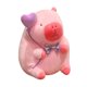 thumbnail image 3 of Peluche de carpincho rosa para acompañar el sueño, adorno divertido y cómodo para las vacaciones. sostener globo 23cm, 3 of 9