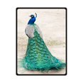 thumbnail image 1 of RYLABLUE Beautiful Peacock Feather Fleece Blanket Throw Blanket 58x80 inches, 1 of 1
