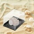thumbnail image 4 of unbranded 4Ud Caja De Almacenamiento Plástica Transparente Para De Minerales, 4 of 6
