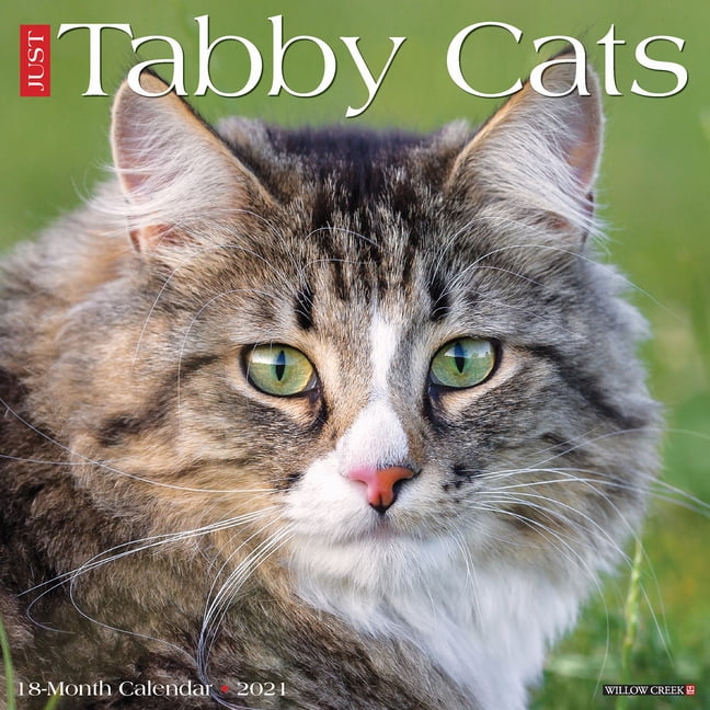 Just Tabby Cats 2021 Wall Calendar (Other)