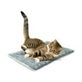 thumbnail image 6 of RoamHome Warm Cat Bed Dog Bed for Autumn Winter Pet Soft Sleeping Cushions for Cats Dogs Coral Velvet Sleeping Pad for Pets Rectangle Kennel Cushion 16x24 Inches (A), 6 of 9